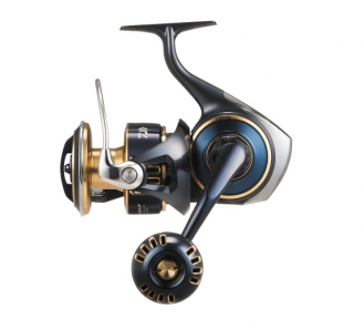 DAIWA 25 SALTIGA