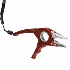 SIMMS